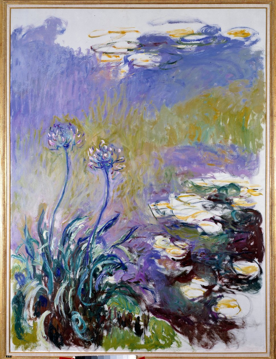 Die Agapanthus von Claude Monet