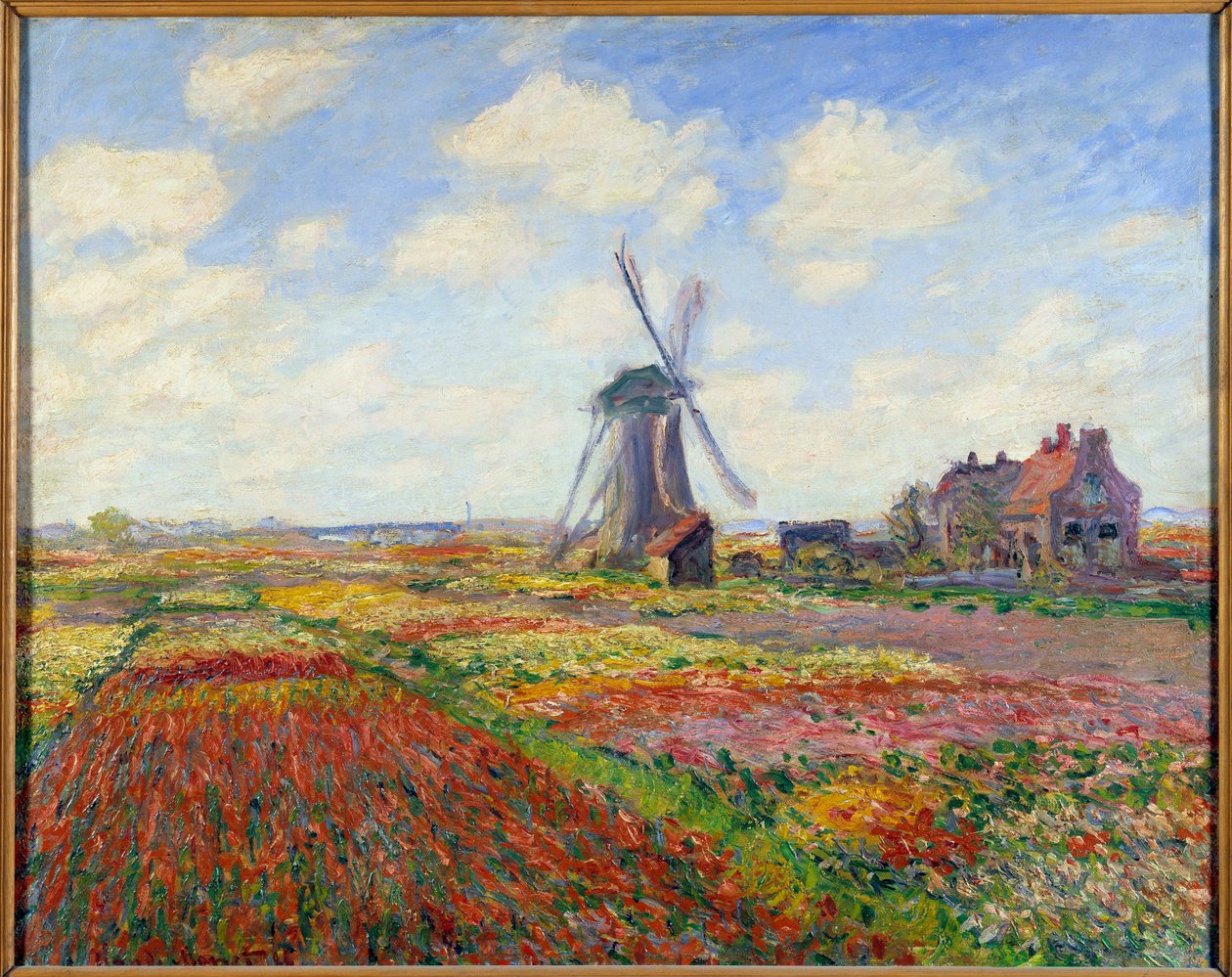 Tulpenfelder in Holland (mit einer Windmühle) von Claude Monet