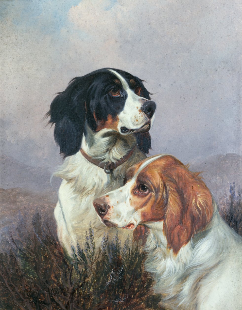 Setter auf einem Moor, 1892 von Colin Graeme