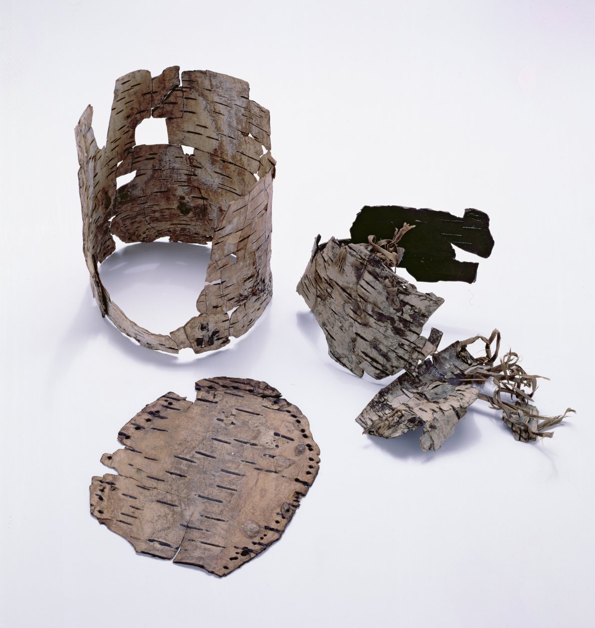 Birkenrindenbehälter, gefunden beim Ötzi-Mann (Birke) von Copper Age
