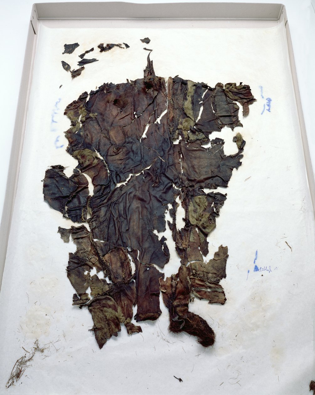 Leggings gefunden beim Ötzi-Eismann (Ziegenhaut) von Copper Age