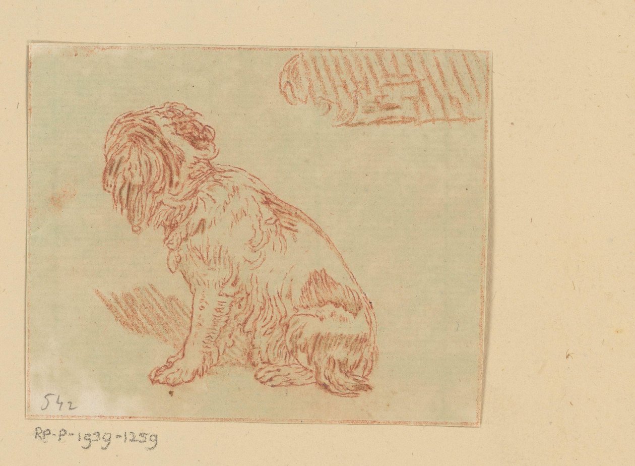 Sitzender Hund von Cornelis Brouwer (possibly)