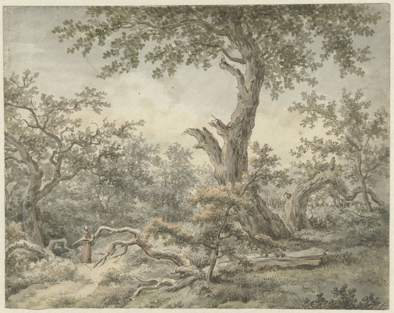 Waldlandschaft von Cornelis Buys