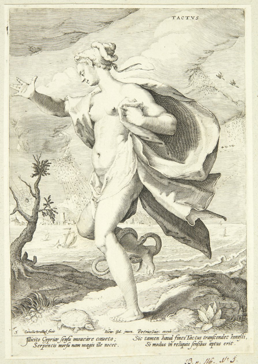 Der Tastsinn von Cornelis Jacobsz Drebbel