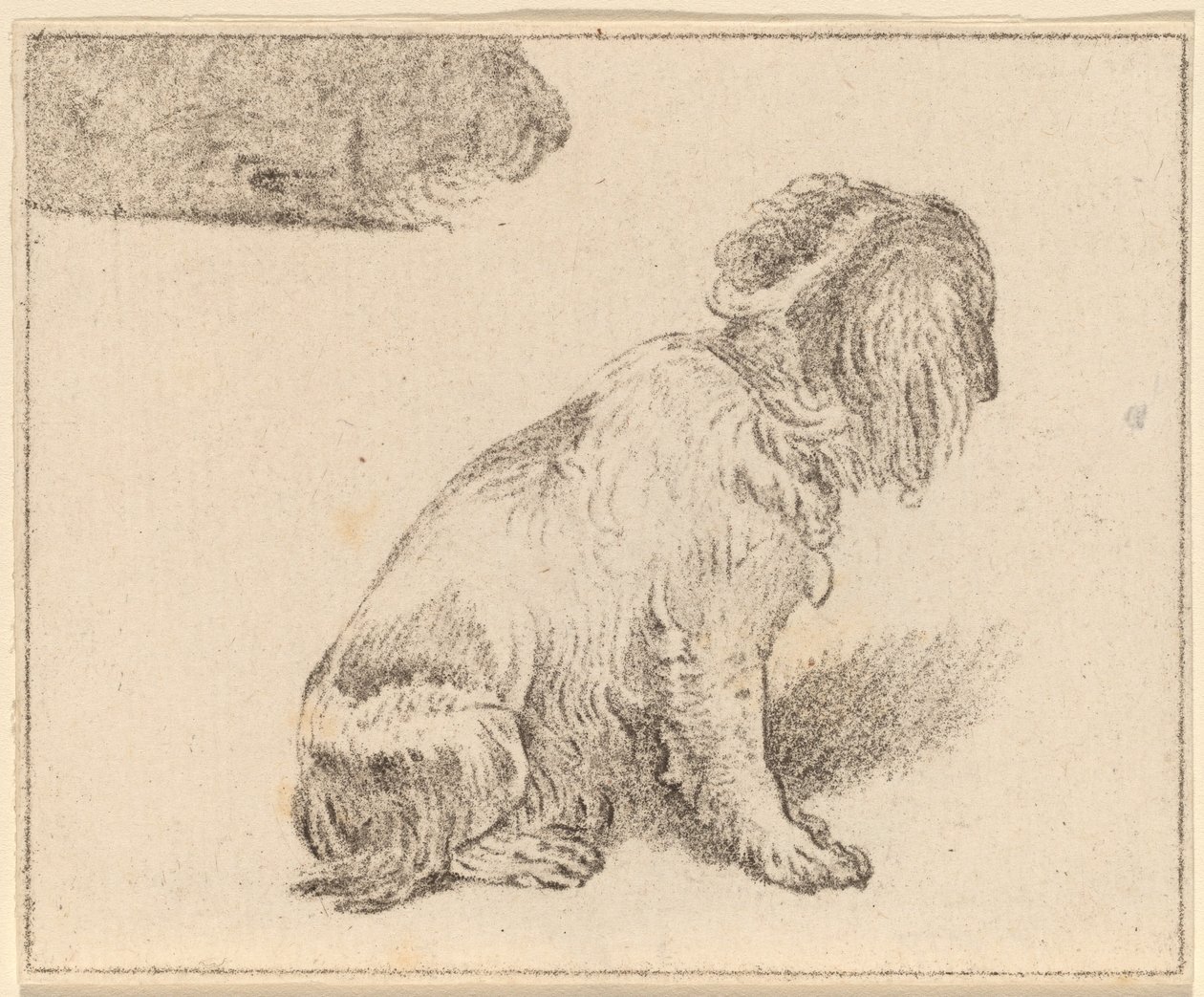 Sitzender Hund von Cornelis Ploos van Amstel
