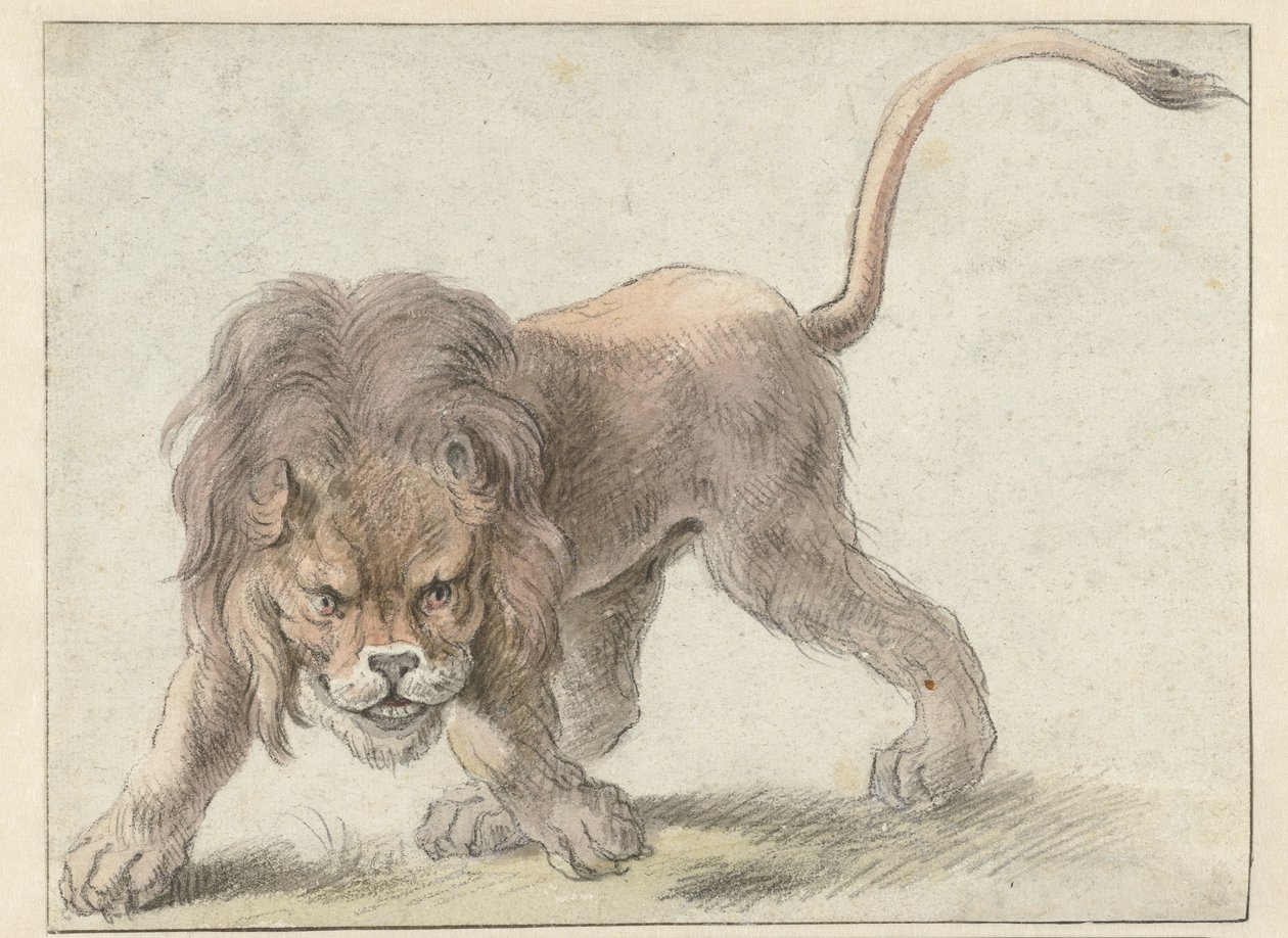Löwe von Cornelis Saftleven