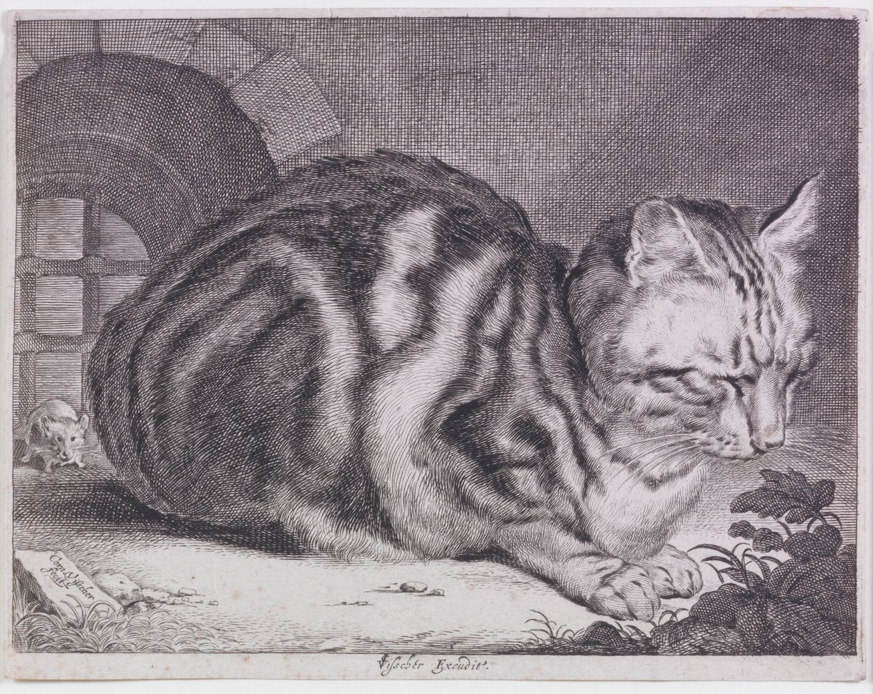 Die große Katze von Cornelis de Visscher