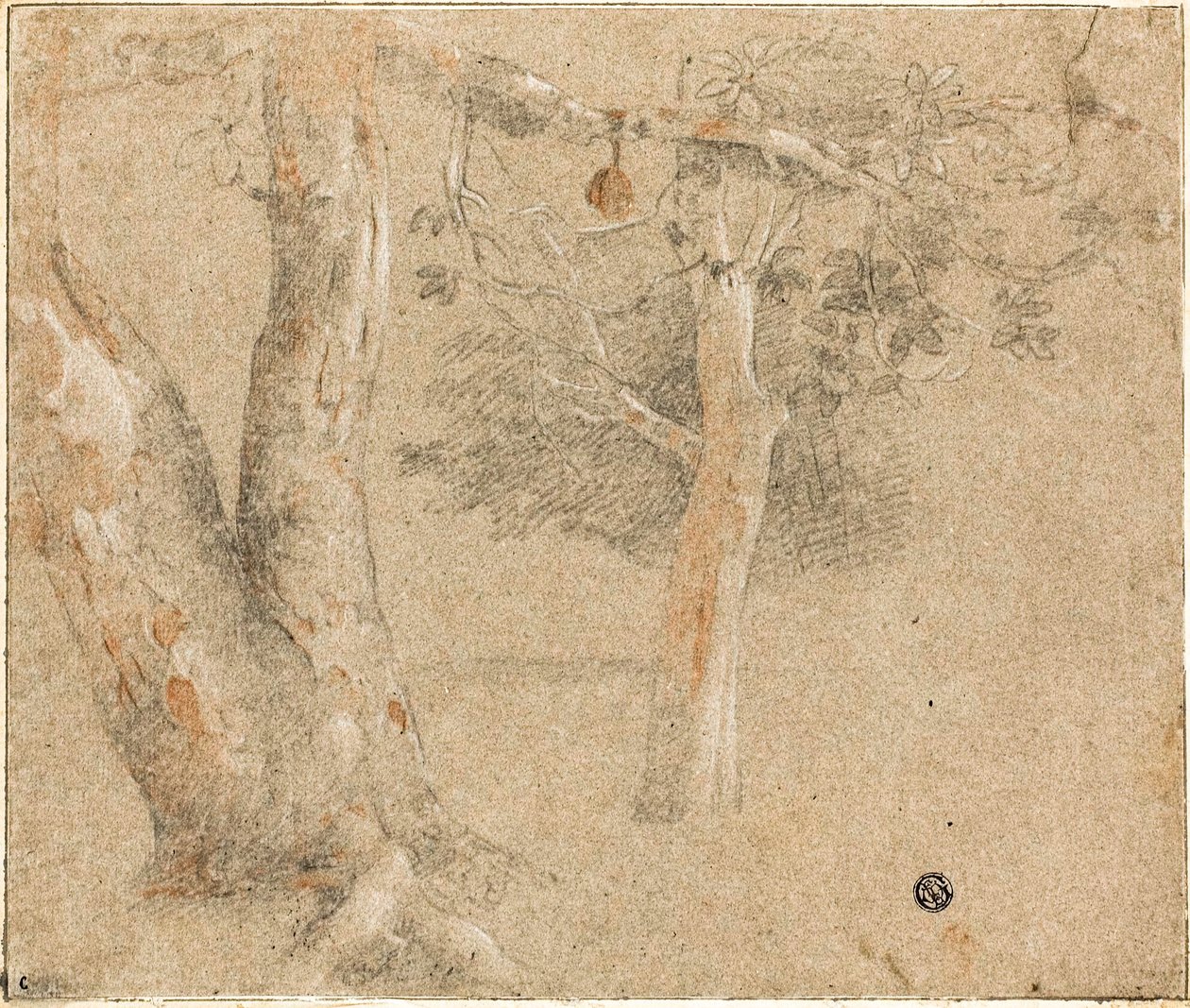 Baumskizzen von Cristofano Allori