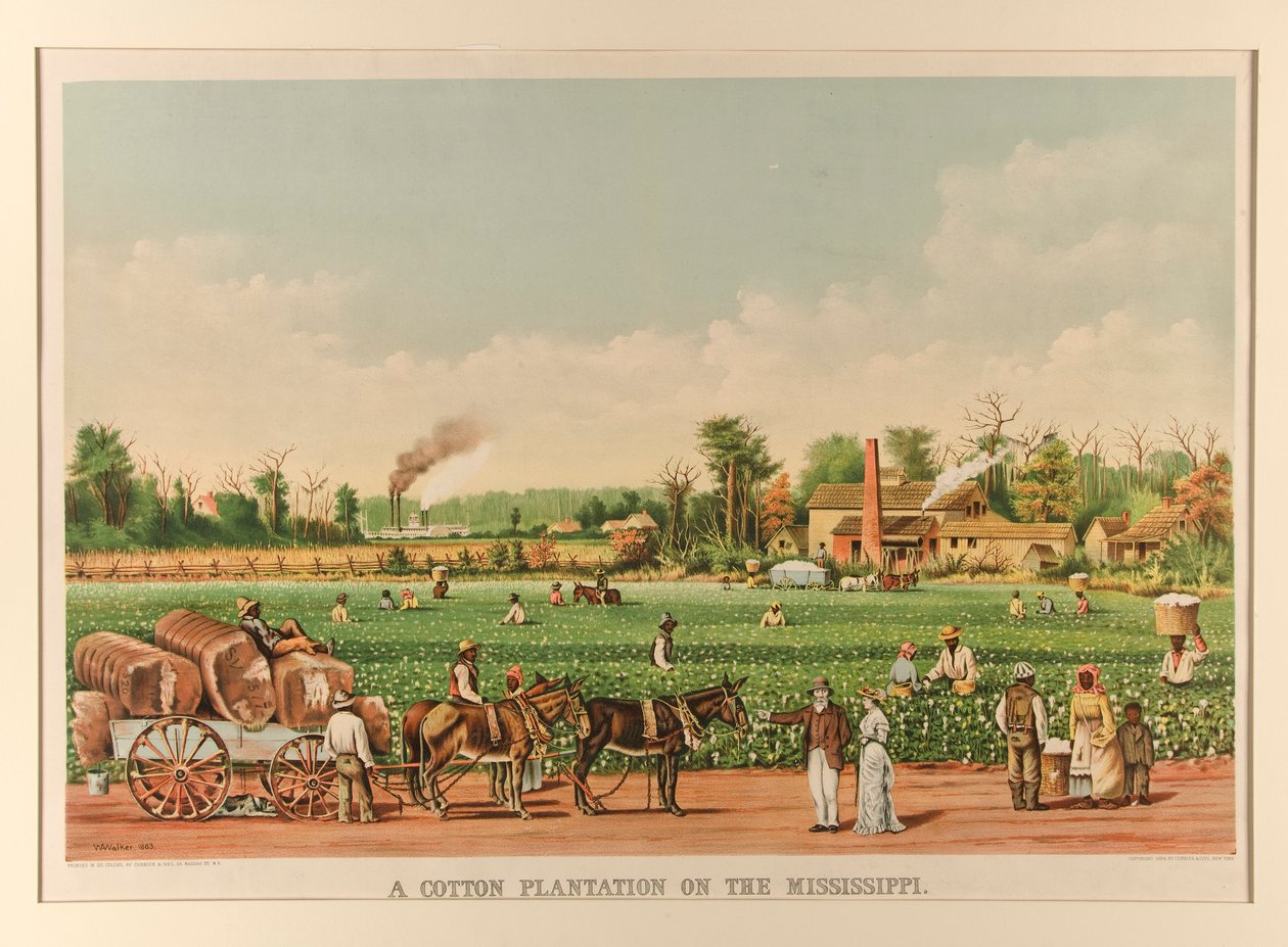 Eine Baumwollplantage am Mississippi von Currier and Ives