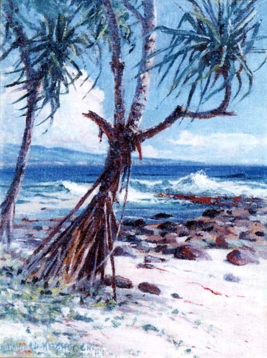 Lauhala von D. Howard Hitchcock