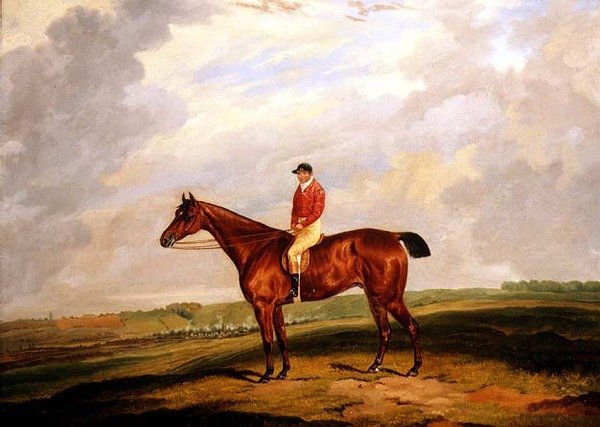 Rennpferd mit Jockey von D. the Younger Wolstenholme