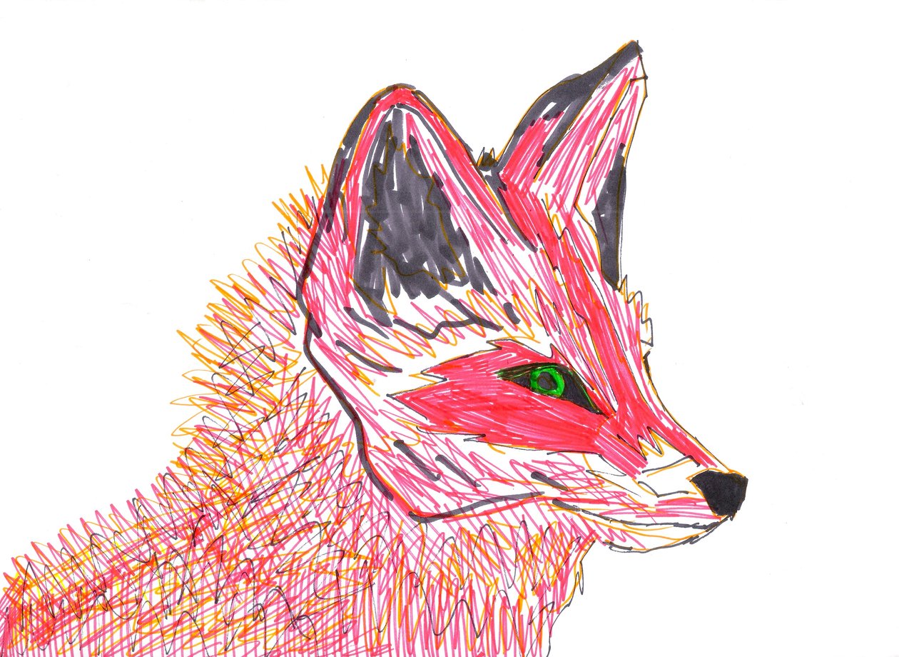 Fuchs von Daisy de Villeneuve