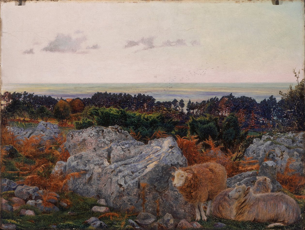 Morecambe Bay von Warton Crag von Daniel Alexander Williamson