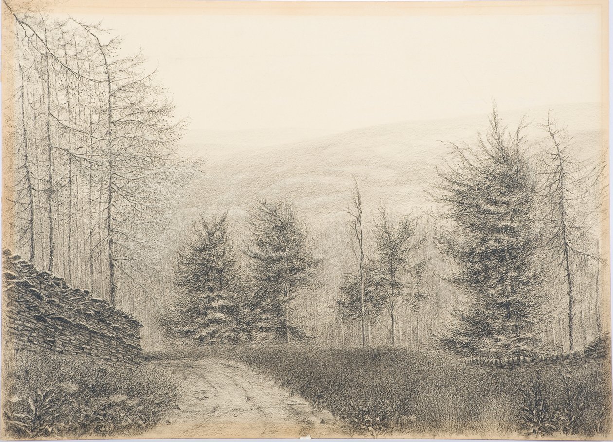 Egglestone Bridge, Teesdale, ca. 1916 von Daniel Oliver