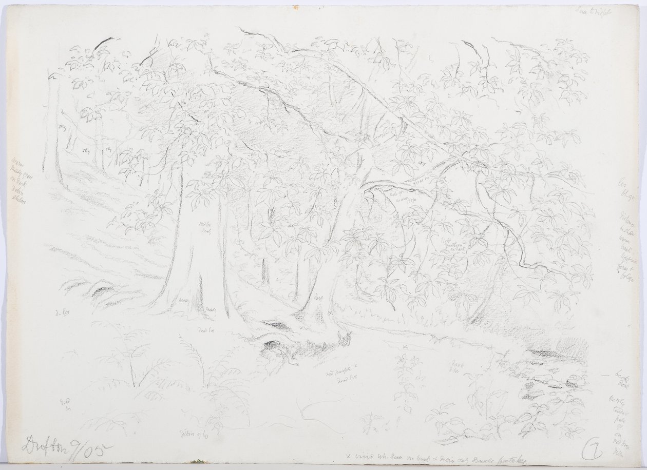 um 1916 von Daniel Oliver