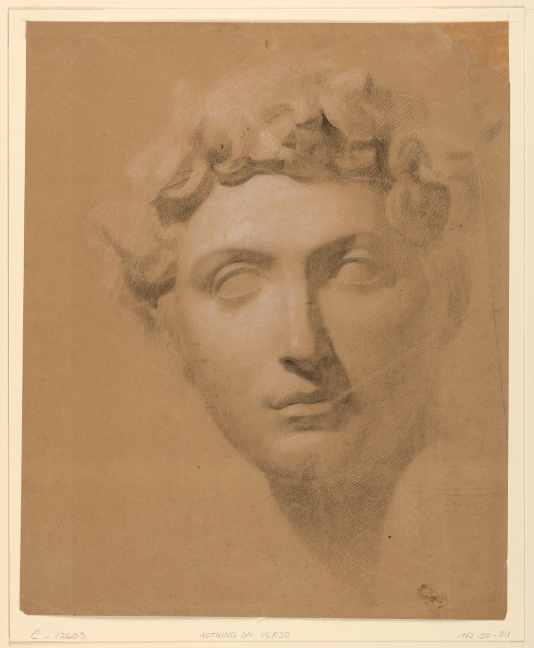 Zeichnung, Männlicher Kopf von einem Gipsabdruck, 1840 von Daniel Huntington