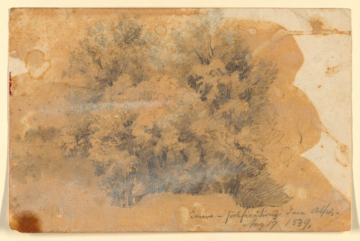 Studie von Bäumen, Genf von Daniel Huntington