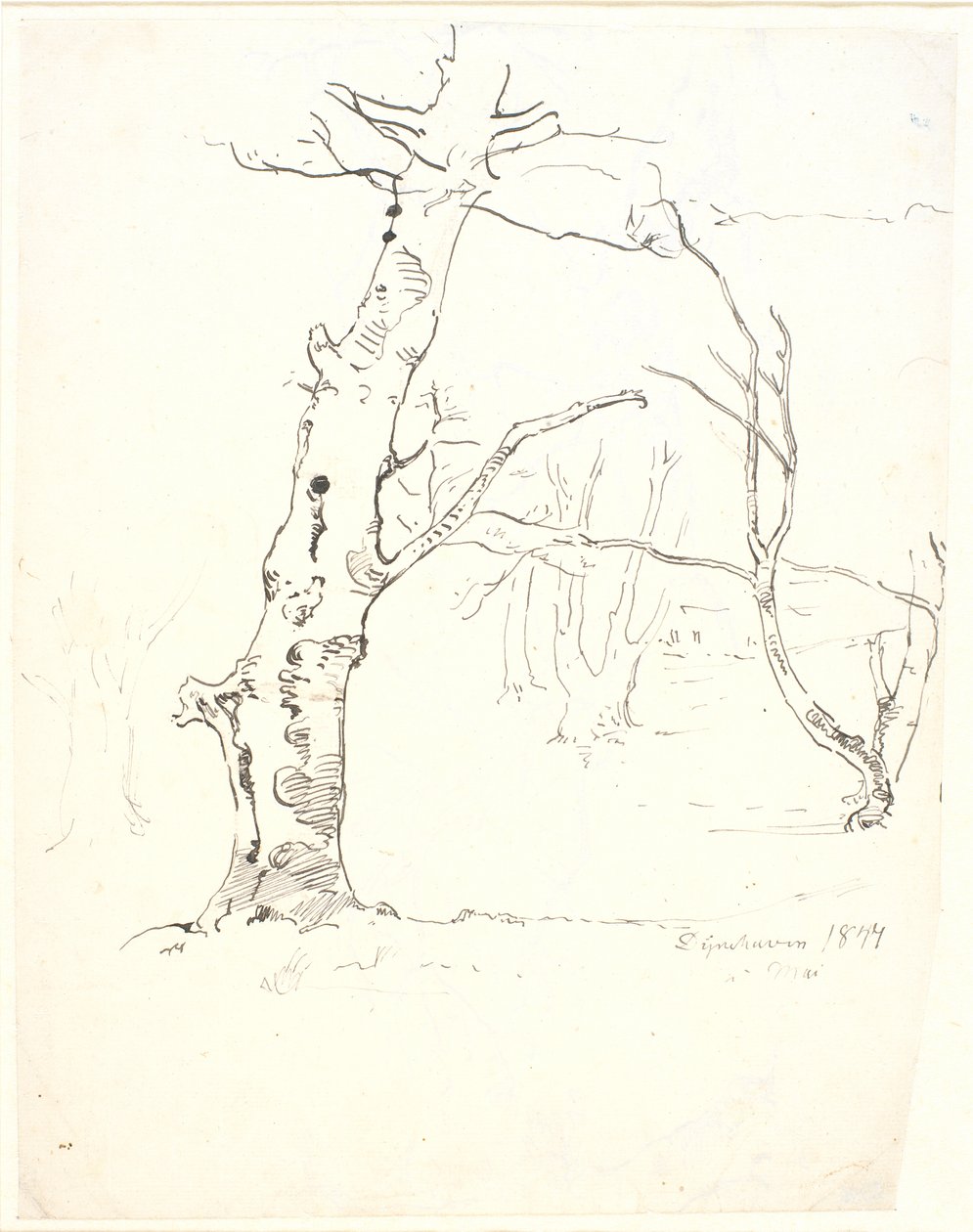 Baumstämme von Dankvart Dreyer