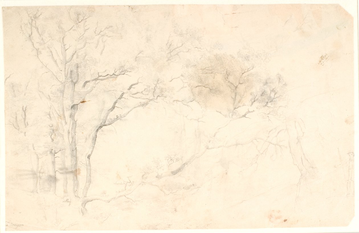 Holzstudien von Dankvart Dreyer