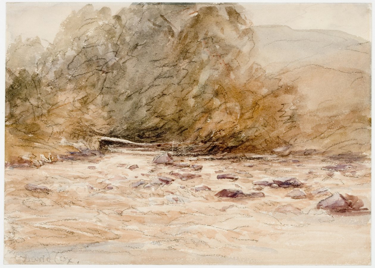 Ein bergiger Bach von David Cox