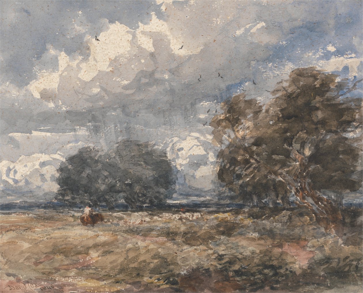 Hirten der Herde, windiger Tag von David Cox