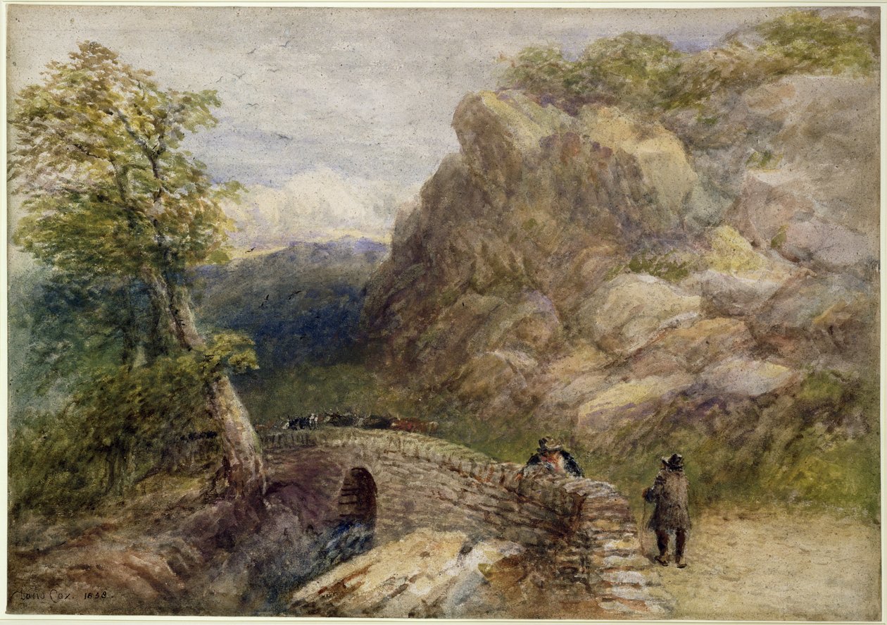 Ansicht in Nordwales, 1858 von David Cox