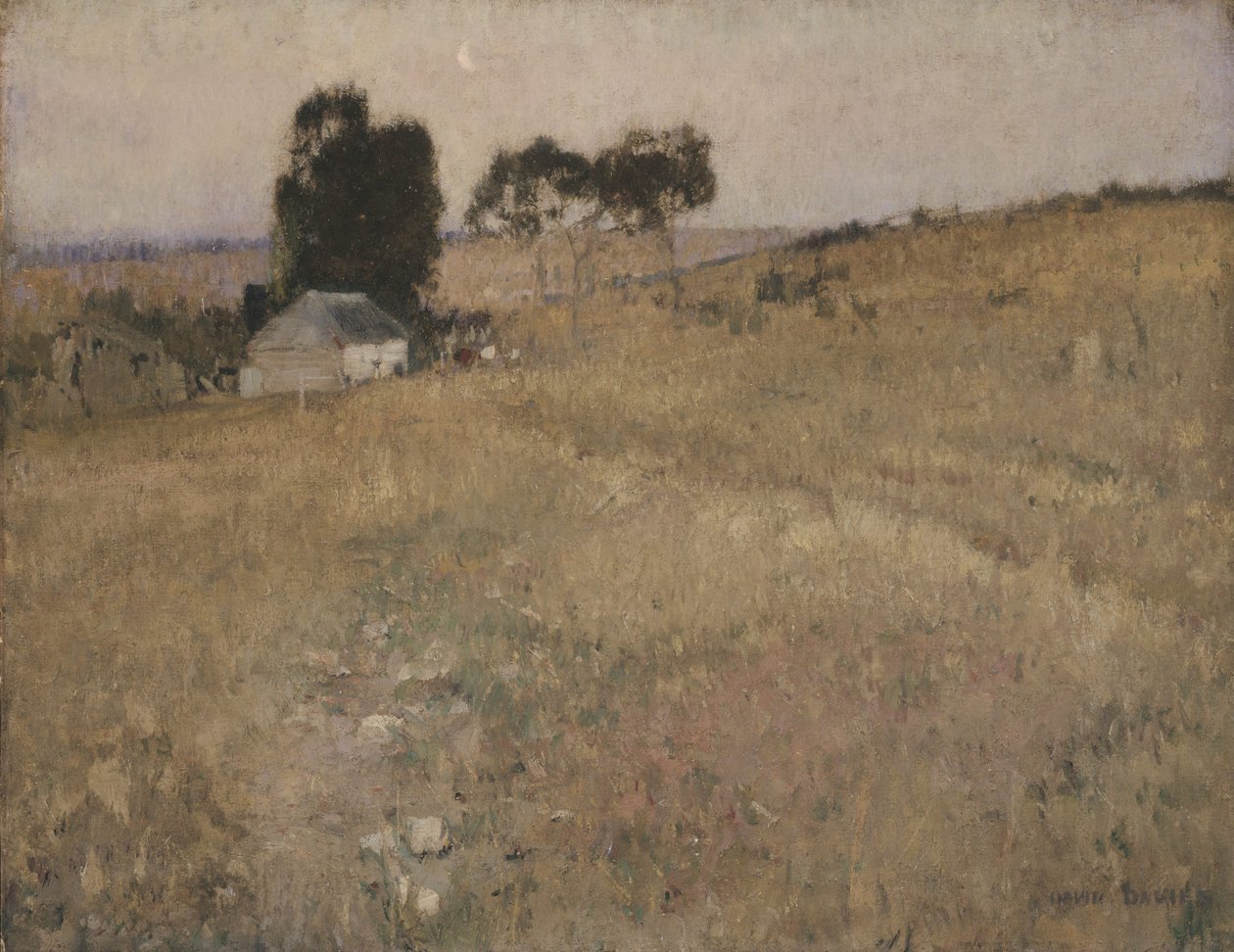 Ein Sommerabend von David Davies