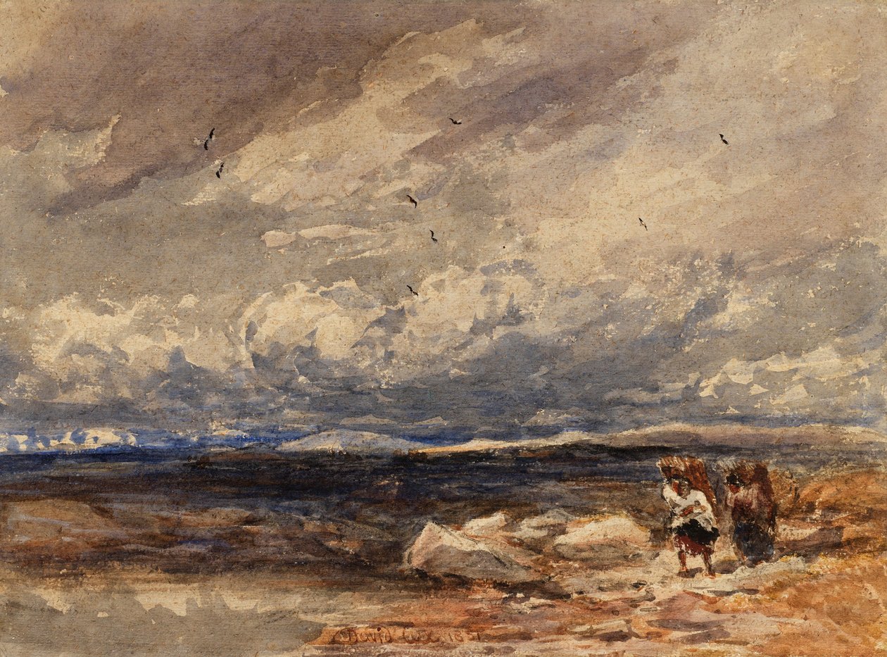 Auf Carrington Moss von David Cox