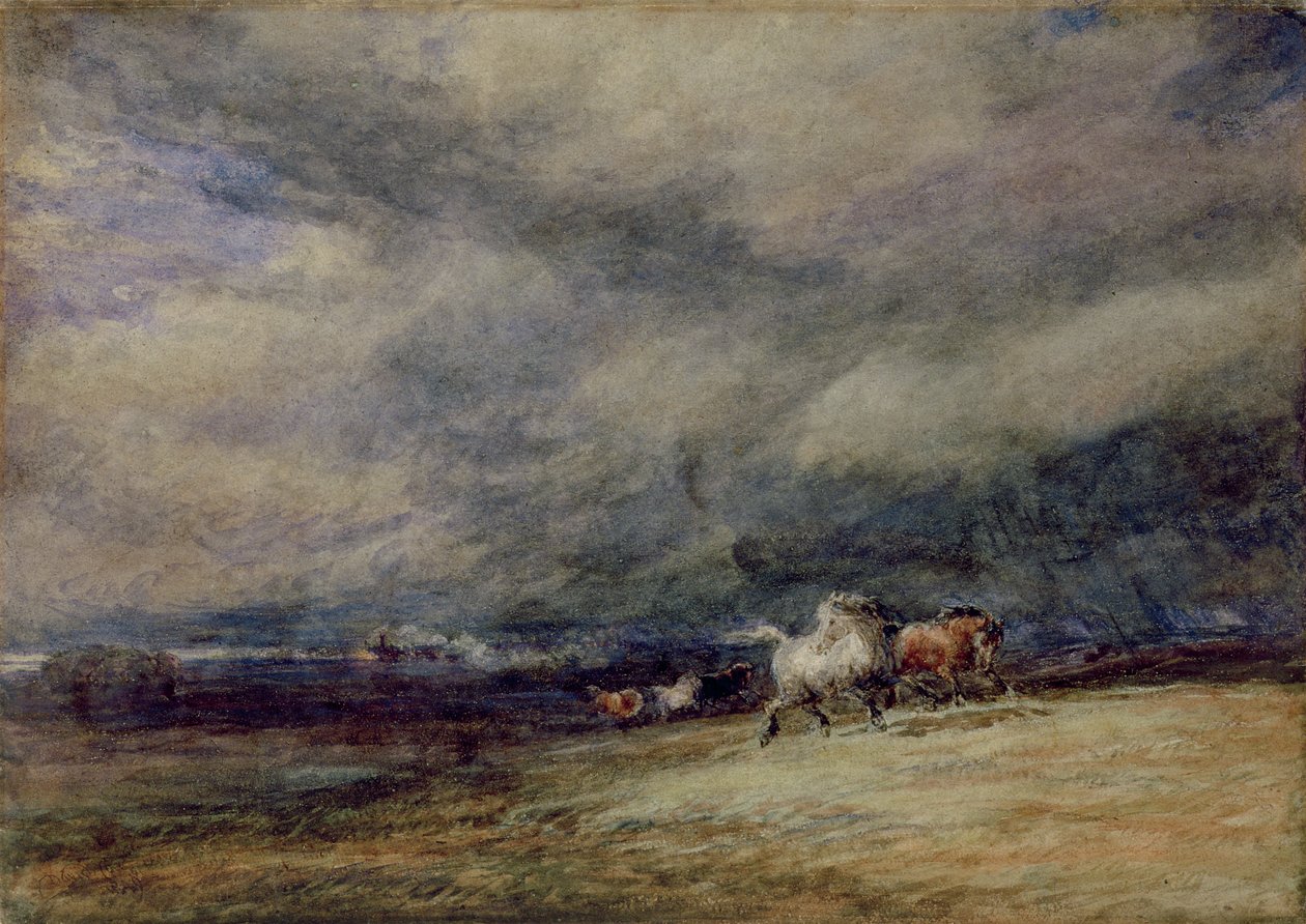 Der Nachtzug von David Cox