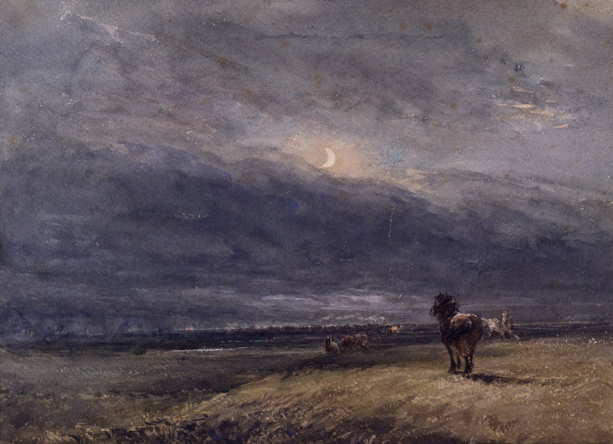 Der Nachtzug von David Cox