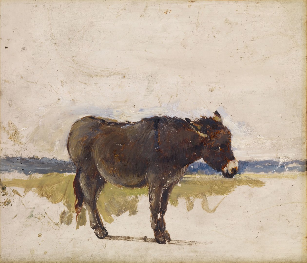 Studie eines Esels von David Cox the elder