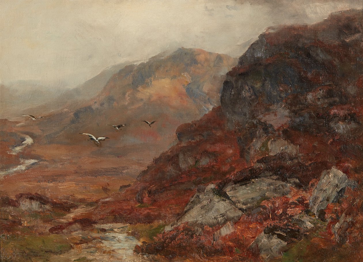 Hochlandhügel von David Farquharson