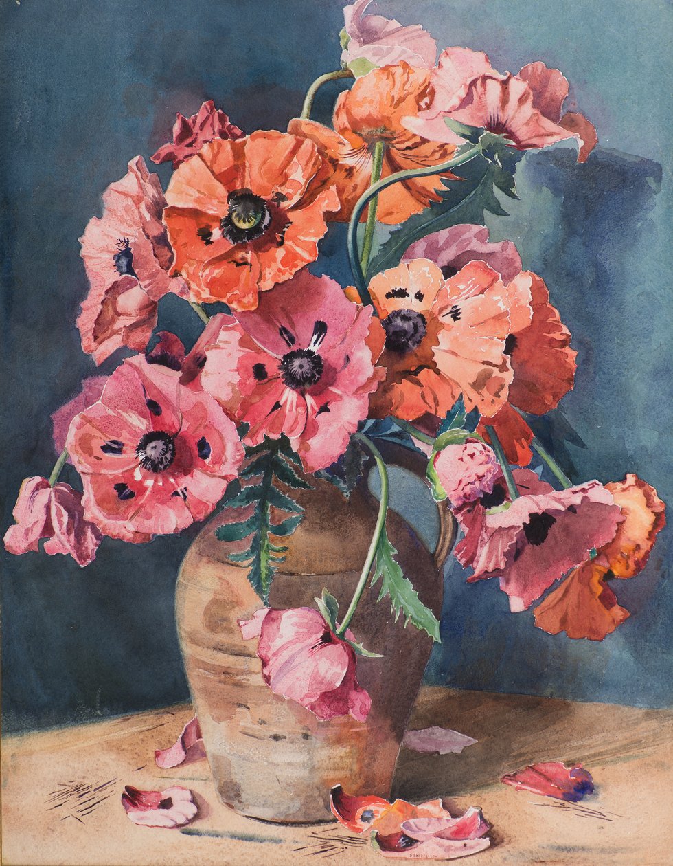 Mohnblumen von David Goodfellow