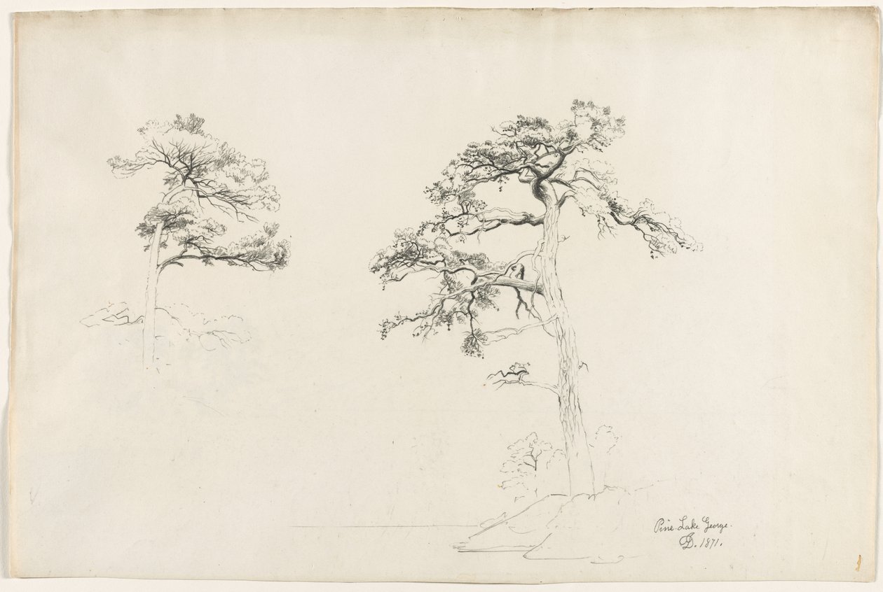 Kiefer, Lake George von David Johnson