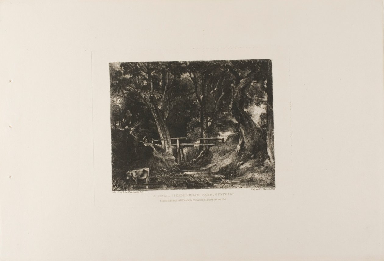 Ein Tal, Helmingham Park, Suffolk von David Lucas