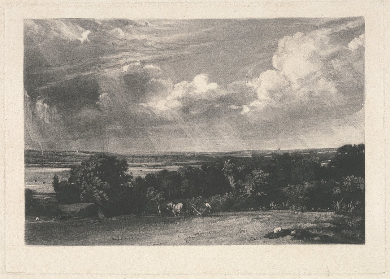 Ein Sommerland von David Lucas