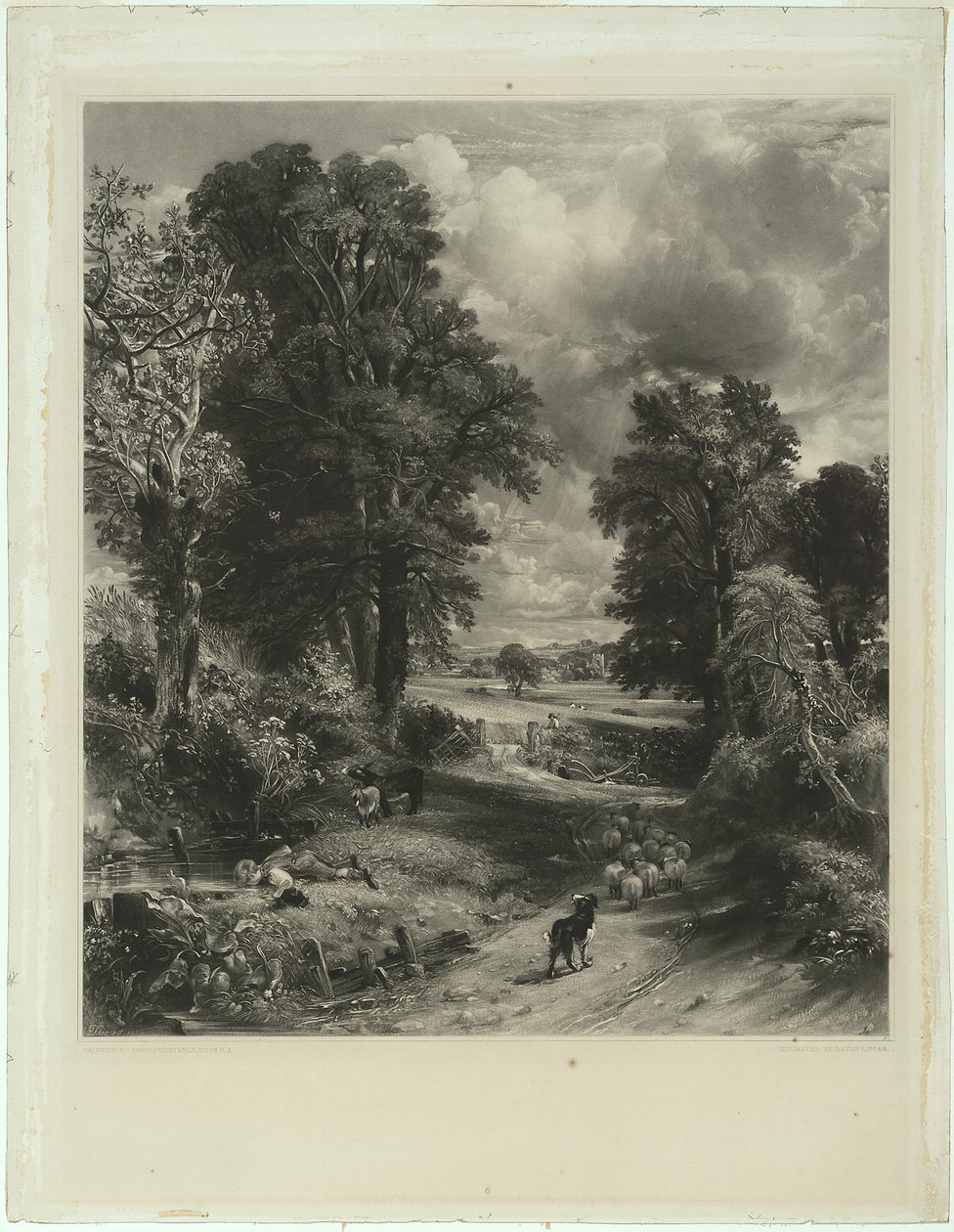 Das Kornfeld von David Lucas