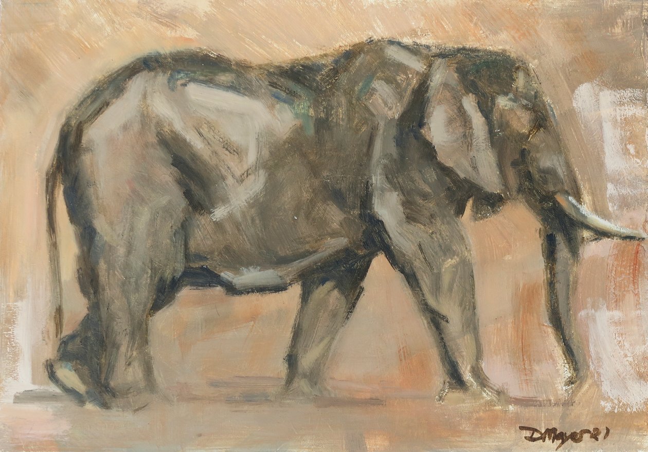 Bullenelefant von David Mayer