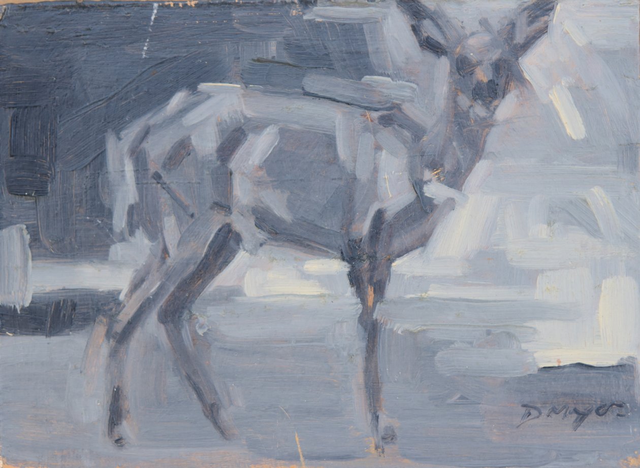 Buschbock-Hirschkuh, 2016 von David Mayer