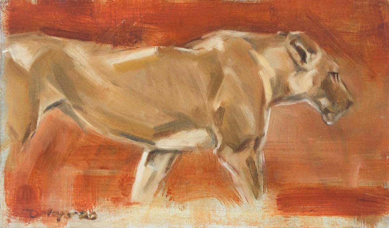 Löwin, 2019 von David Mayer