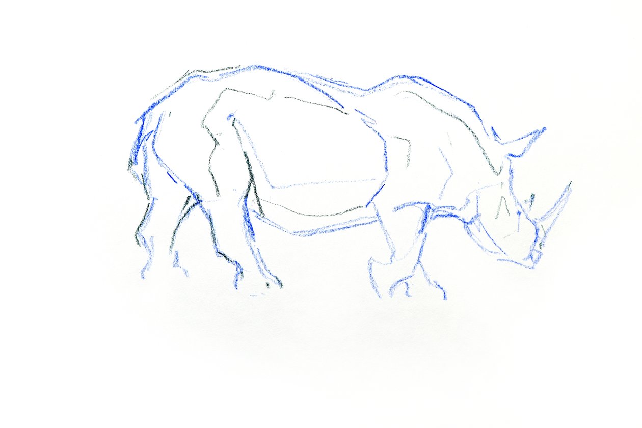 Weißes Nashorn, 2020 von David Mayer