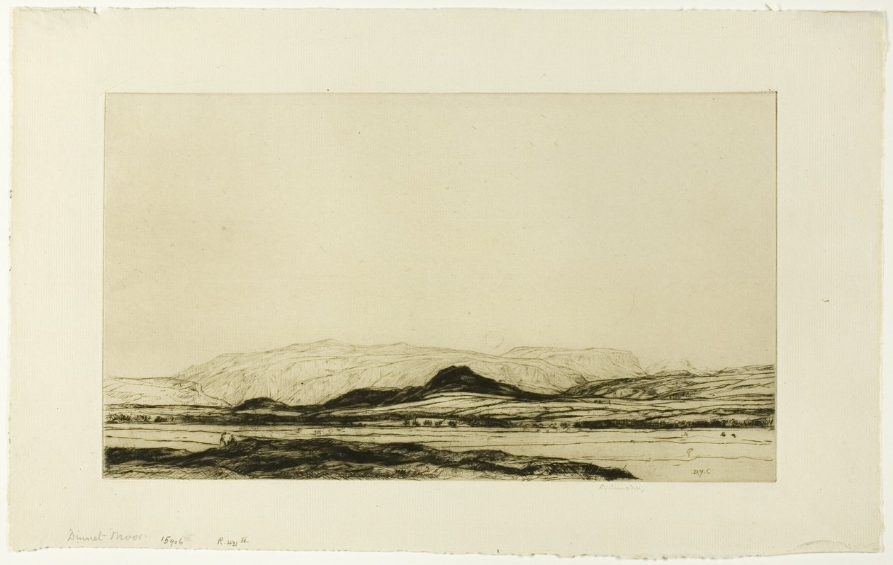 Dinnet Moor von David Young Cameron