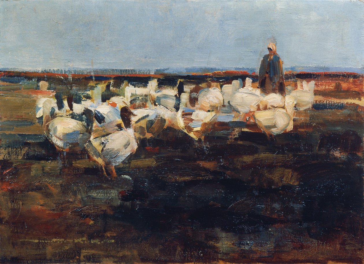 Gänseherde auf der Weide von Demeter Koko