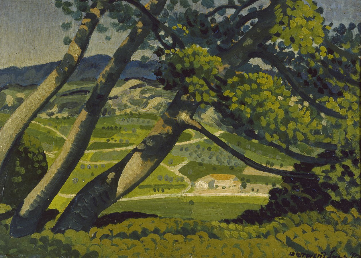 Bäume, Provence, 1912 von Derwent Lees