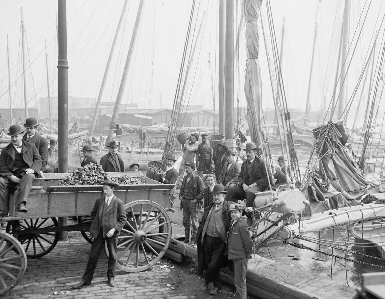 Entladen von Austernkuttern, Baltimore, Maryland, 1905 von Detroit Publishing Co.