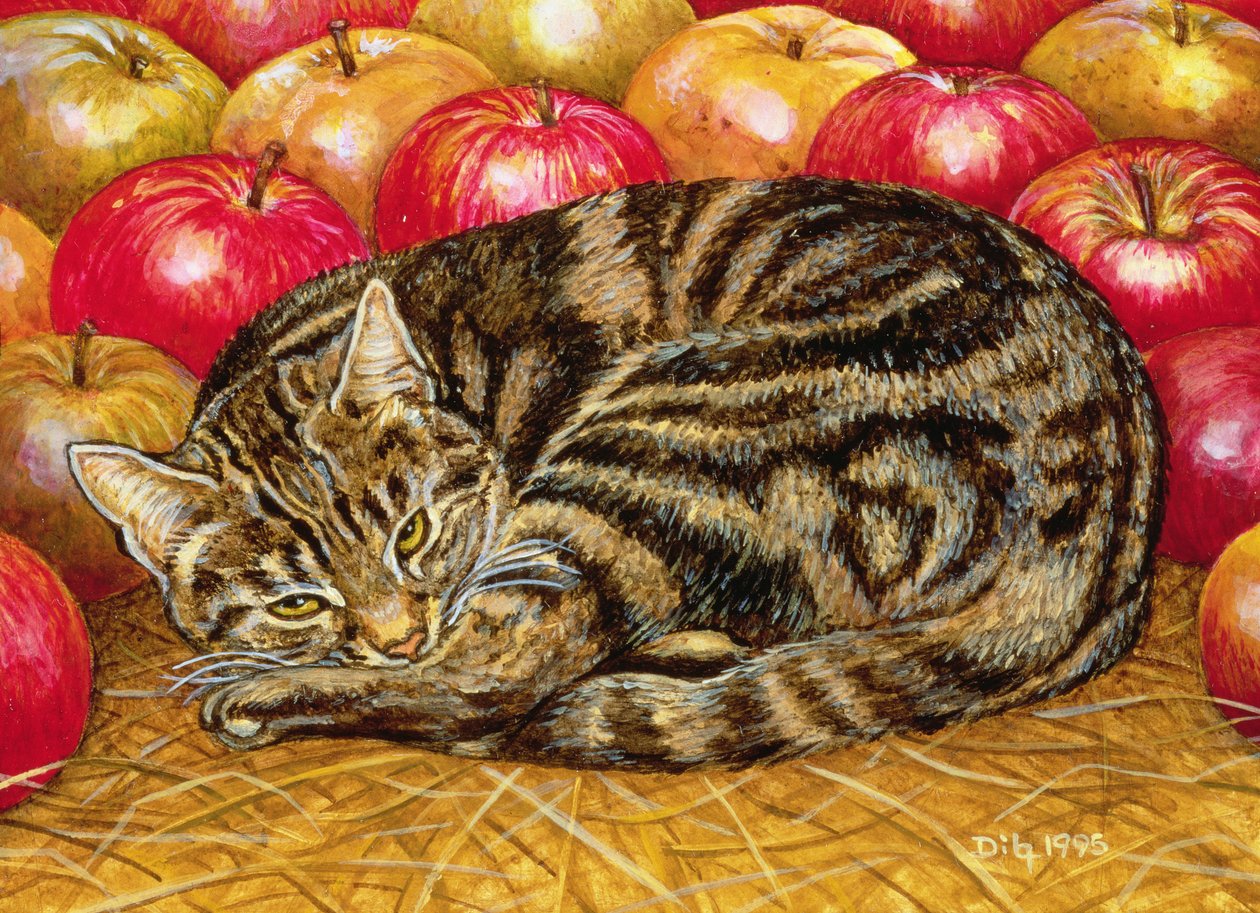 Rechte-Hand Apfel-Katze, 1995 von Ditz