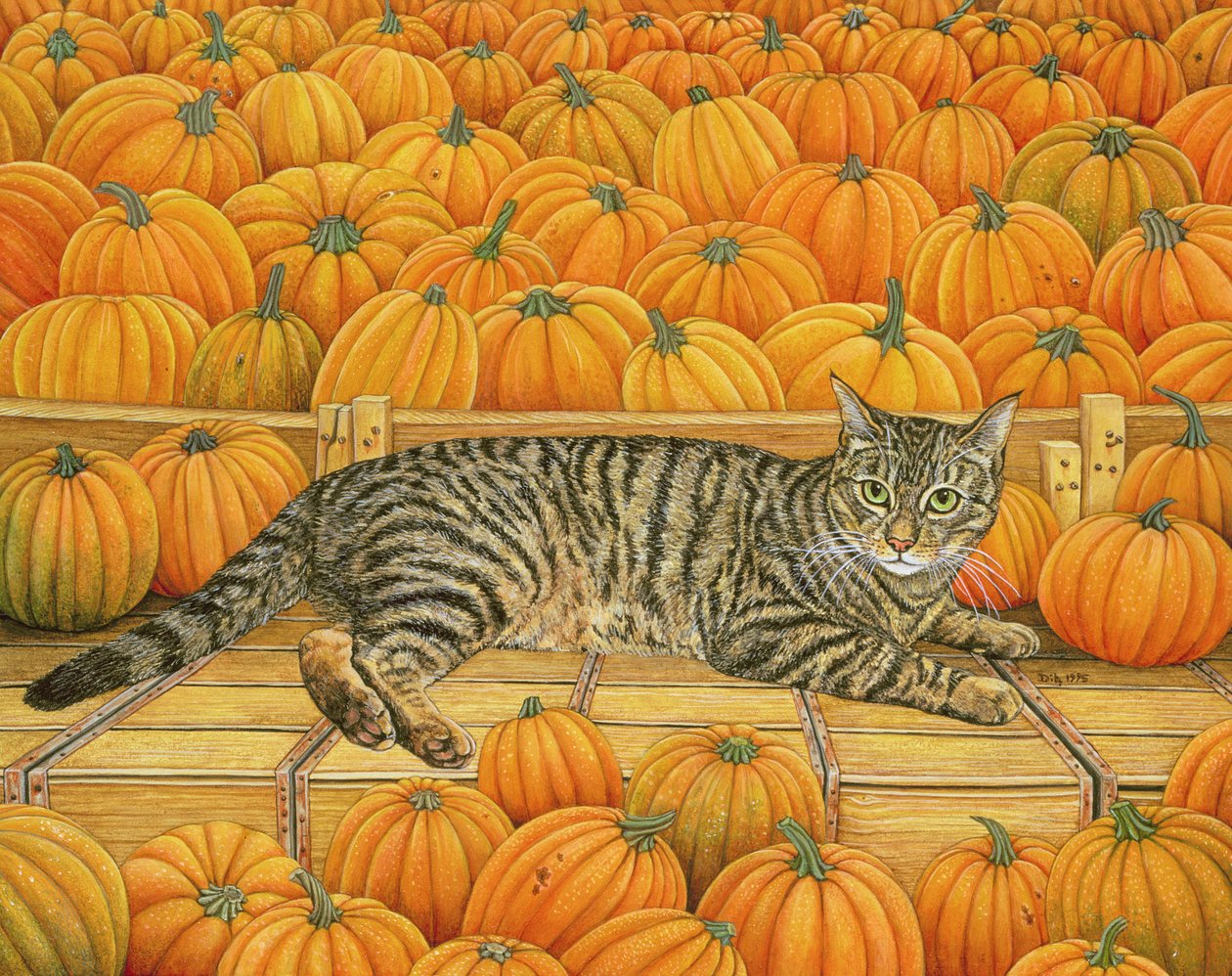Der Kürbis-Katze, 1995 von Ditz
