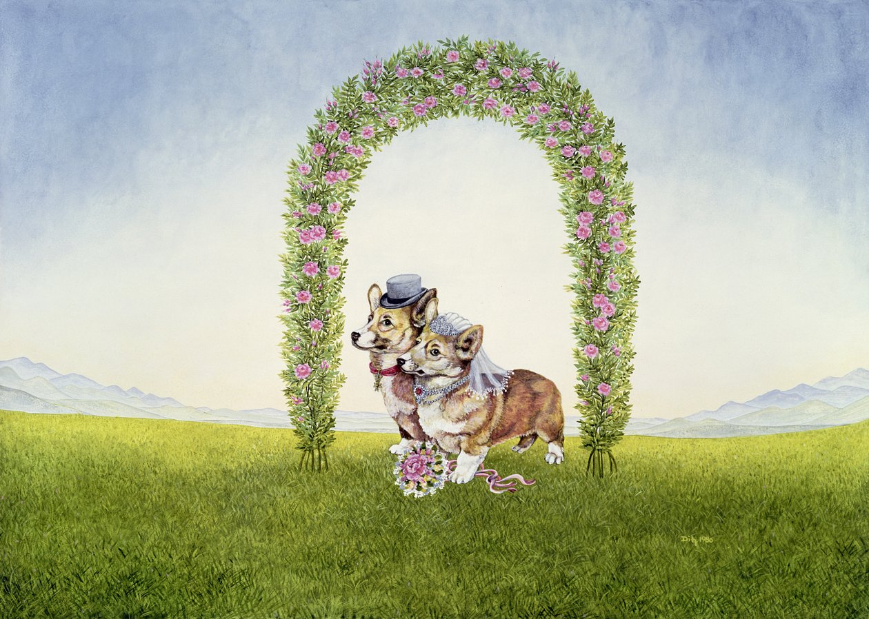 Die königliche Hochzeit von Ditz