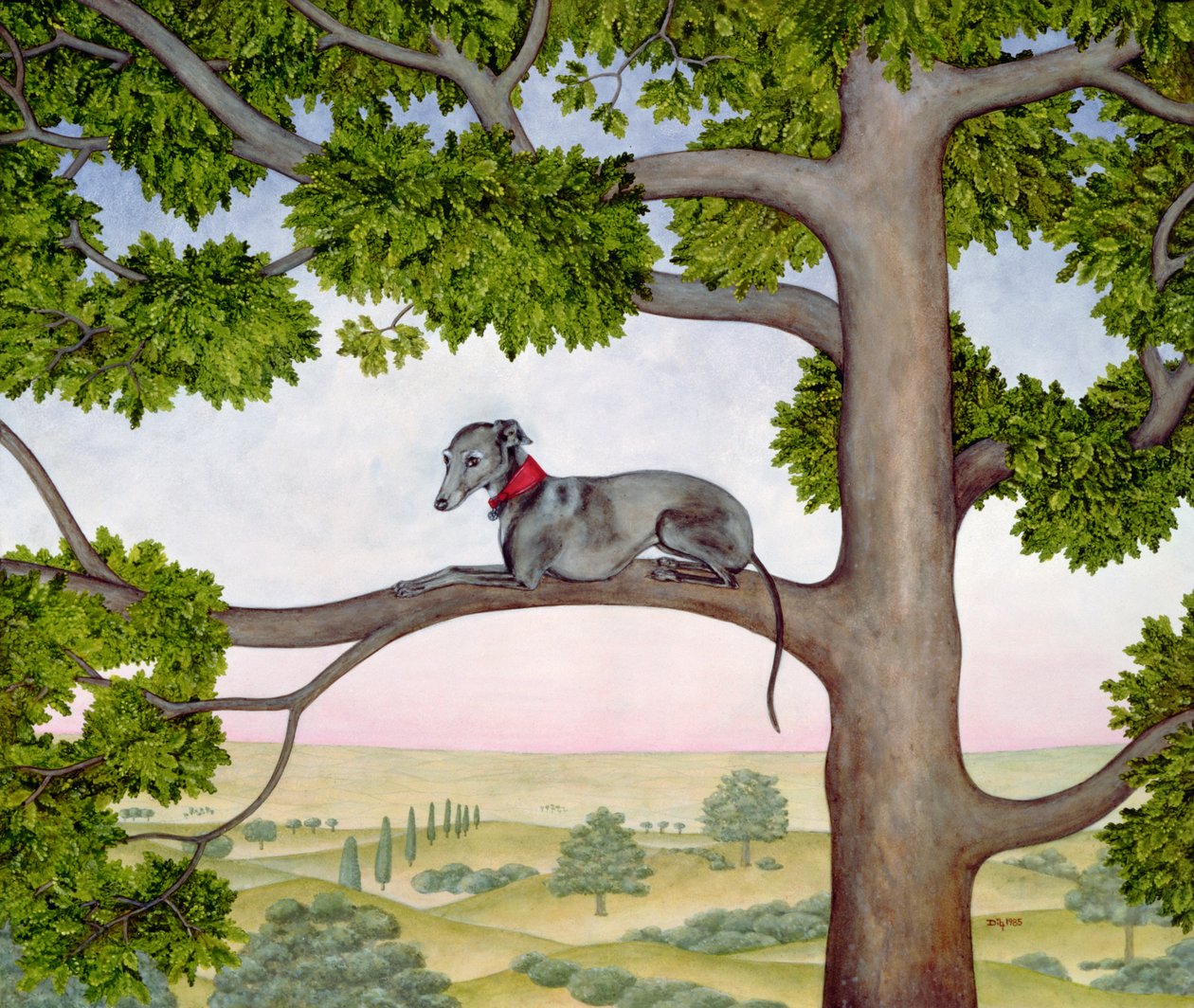 Der Baumwindhund von Ditz
