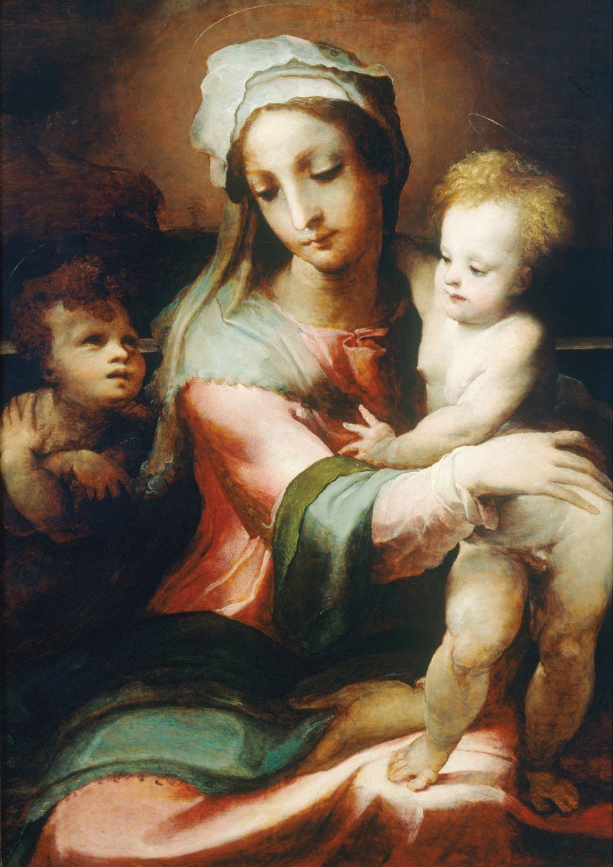 Madonna und Kind mit dem kleinen Johannes dem Täufer von Domenico di Pace Beccafumi  